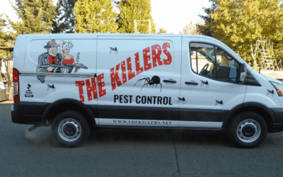 The Killers Ford Transit Cargo Van Upfit with Adrian Steel Shelving and Partition