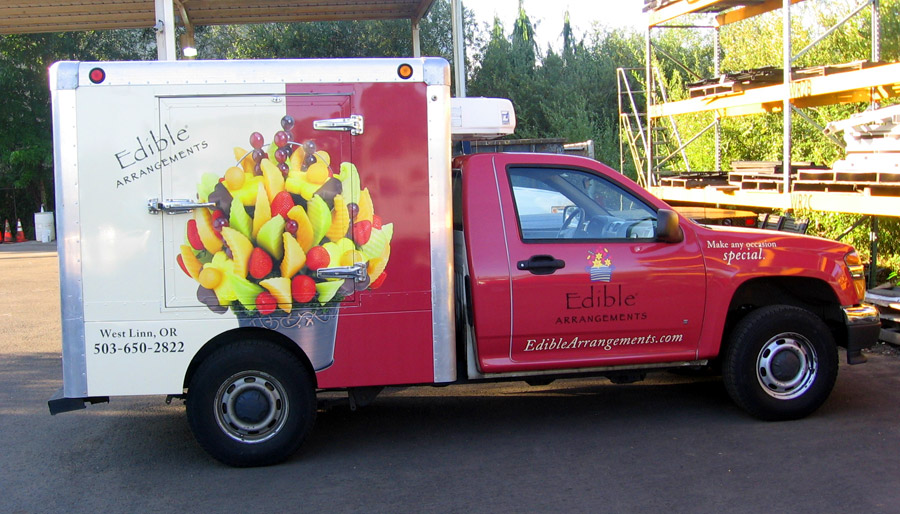 vehicle graphic visual